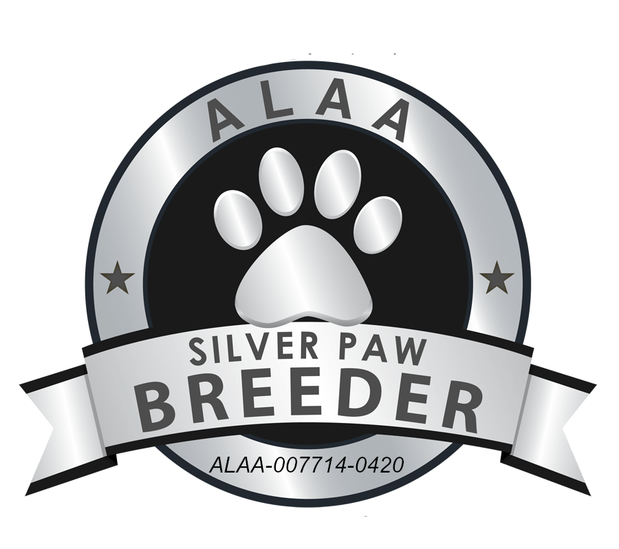 Silver Paw Breeder