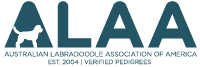 Alaa Logo Website 2021