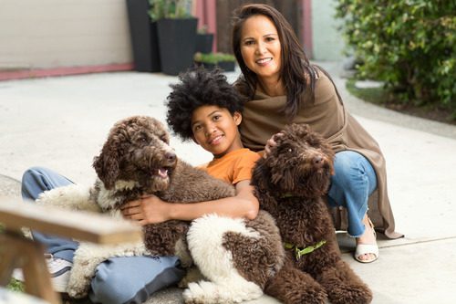 female-owner-and-young-boy-petting-two-labradoodle-dogs